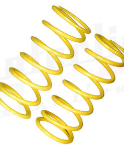 Performance Rear Springs 750 and 101 (PS112)