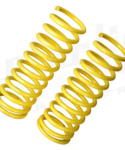 Performance Rear Springs 105 1965-69 (PS411)