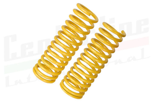 Performance Rear Springs 115 1969-94 (PS412)