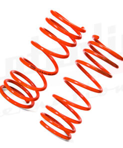 Performance Rear Springs Alfetta and GTV6 (PS423)