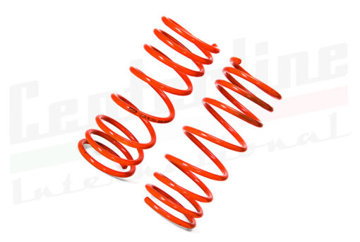 Performance Rear Springs Alfetta and GTV6 (PS423)