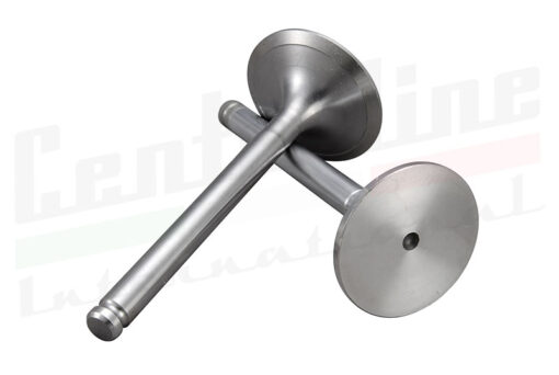 Exhaust Valve 2.5 V6 (EV193)