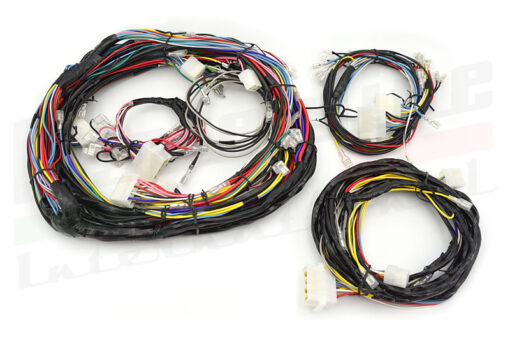 Wiring Harness Spider 1972-79 (WH113)