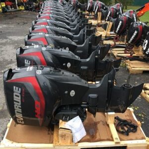 Evinrude e-tec 2019