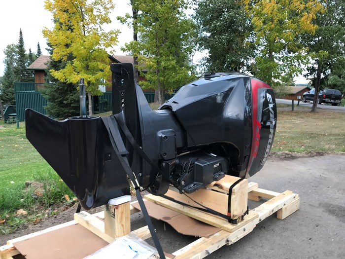 Evinrude e-tec 2019 - Image 3