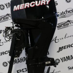 Alternative view of Mercury 60ELPT 2010