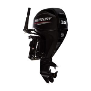 Mercury FourStroke 30 EFI 2021