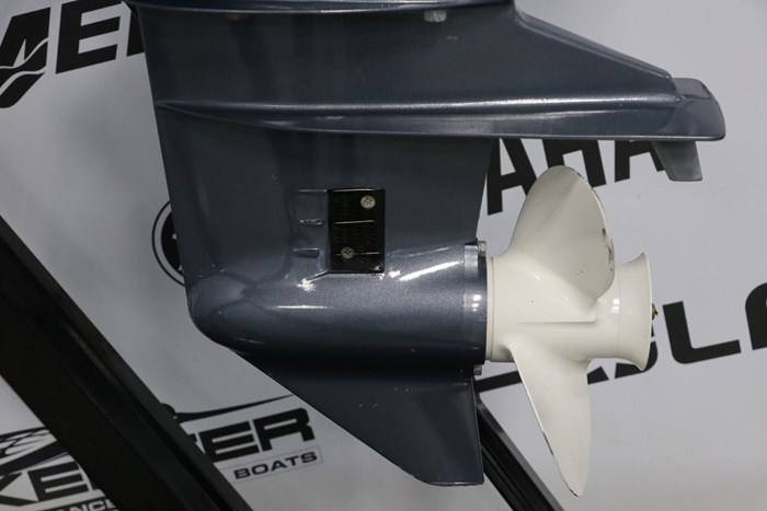 Yamaha F20SWHB 2024 - Image 2