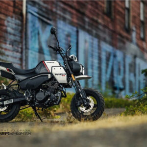 Alternative view of 2024 cfmoto papio cl