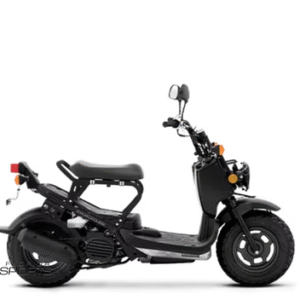 2024 Honda Ruckus