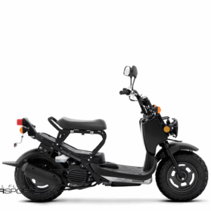 2025 Honda Ruckus