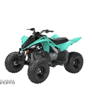 Alternative view of 2025 Yamaha Raptor 110