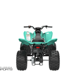 2025 Yamaha Raptor 110