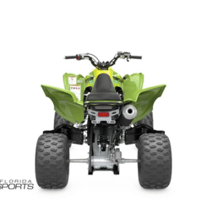 2025 Yamaha Raptor 700r SE
