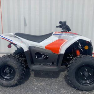 2024 CFMOTO CFORCE EV110